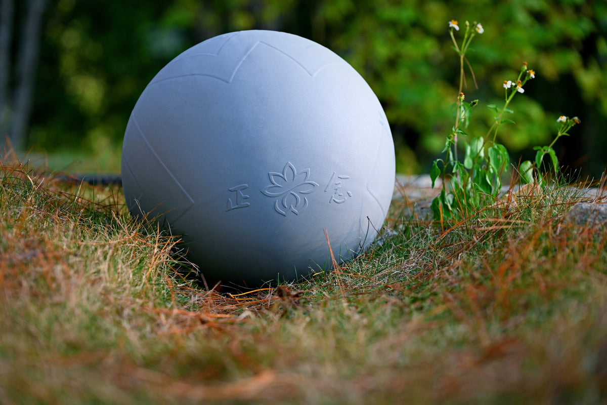 Tai Chi Mindfulness Ball (Rou Rou)