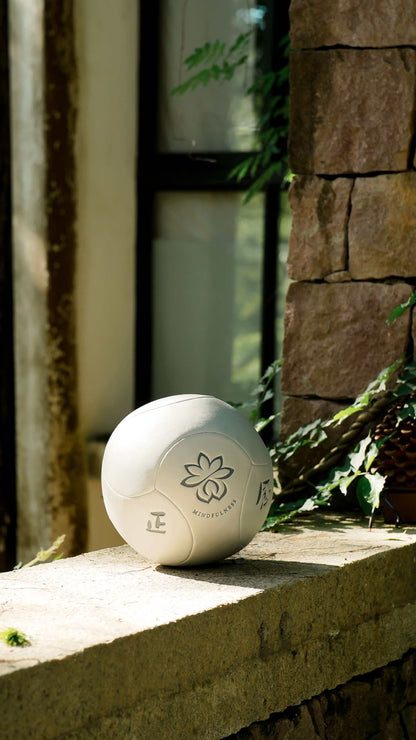 Mindful Tai Chi Ball (Shuaishuai)