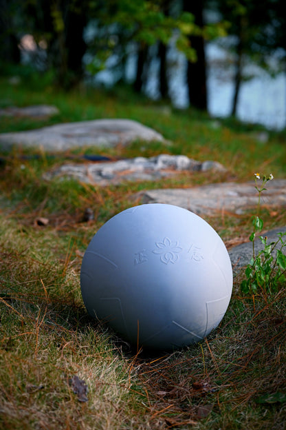 Tai Chi Mindfulness Ball (Rou Rou)