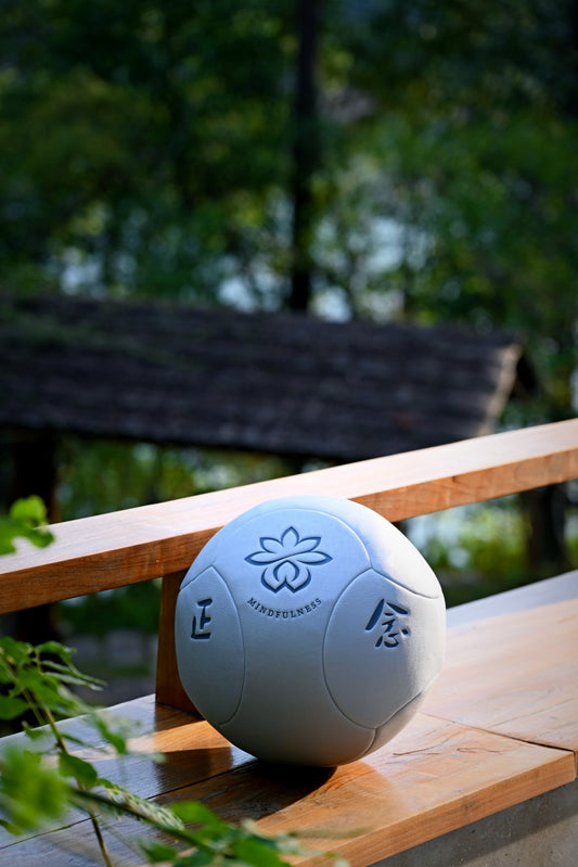 Tai Chi Mindfulness Ball (Shuai Shuai)