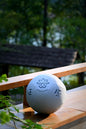 Mindful Tai Chi Ball (Shuaishuai)